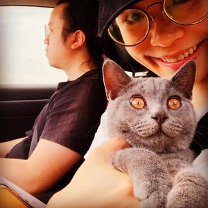 Image post by @ryanwu4444 on Instagram