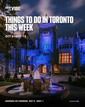 Image post by @viewthevibe on Instagram