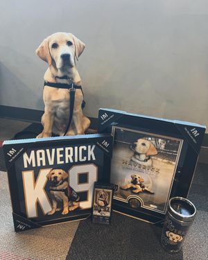 Image post by @vgkgear on Instagram