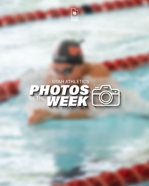 Image post by @utahathletics on Instagram