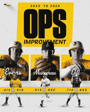 Image post by @appbaseballpdev on Instagram