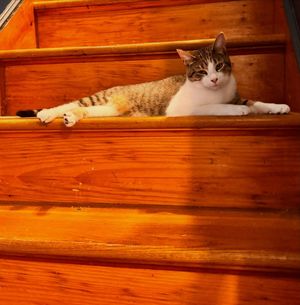 Image post by @pocketcramps on Instagram