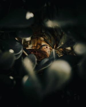 Image post by @chrisbolt on Instagram