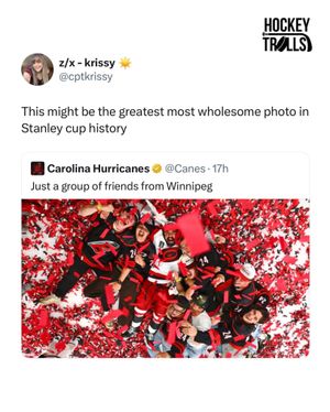 Image post by @hockeytrolls on Instagram