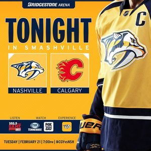 Image post by @predsnhl on Instagram