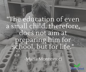 Image post by @mindsproutmontessori on Instagram