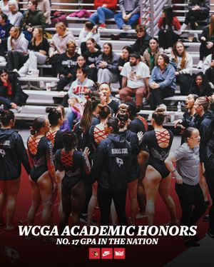 Image post by @redbirdgymnastics on Instagram