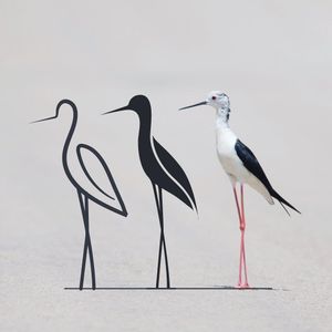 Image post by @fubiz on Instagram