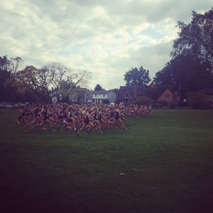 Image post by @ndxctf on Instagram