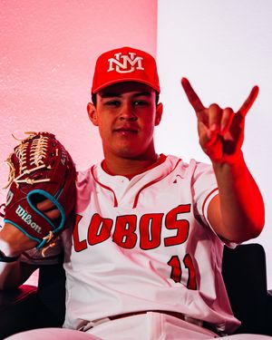 Image post by @unmlobobaseball on Instagram