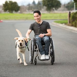 Image post by @canineorg on Instagram