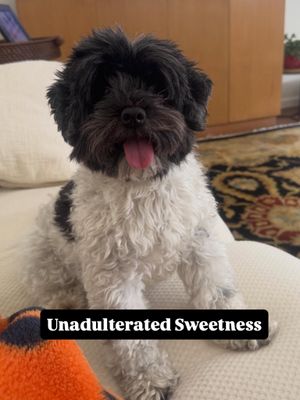 Image post by @thehouseblendtn on Instagram