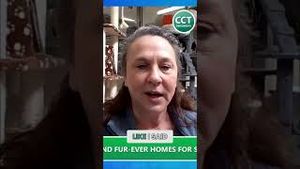 Video post by @civiccentertv on YouTube