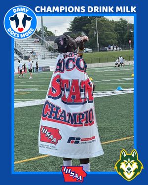 Image post by @theihsaa on Instagram