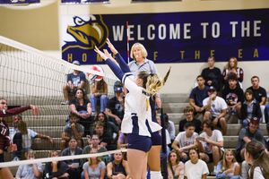 Image post by @greyephotography on Instagram