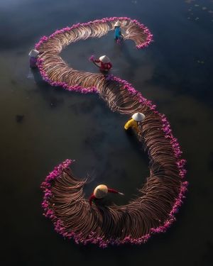 Image post by @droneartgallery on Instagram