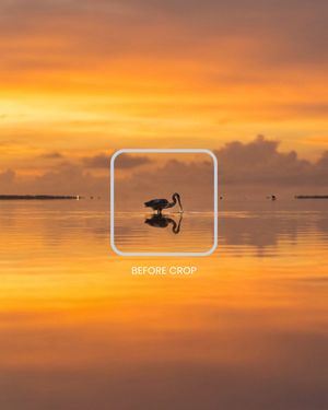 Image post by @joeadimara_ on Instagram