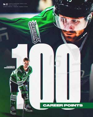 Image post by @fl_everblades on Instagram