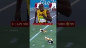 Video post by @nbcsports on YouTube