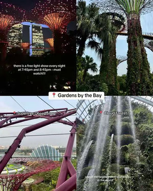Image post by @visit_singapore on TikTok