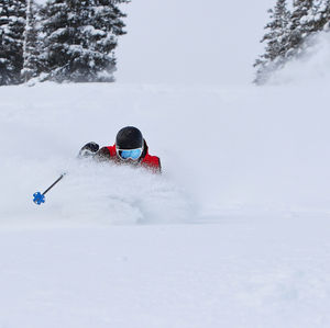 Image post by @pcski on Instagram