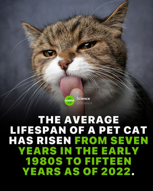 Image post by @science on Instagram
