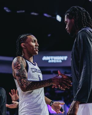 Video post by @alybaylissphotography on TikTok