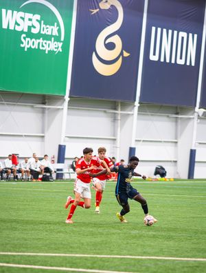 Image post by @yscacademy on Instagram