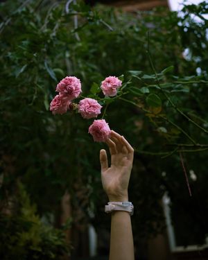Image post by @aundre on Instagram