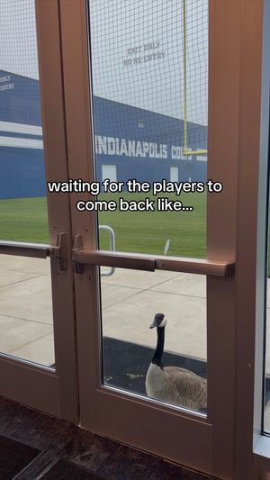 Video post by @colts on TikTok