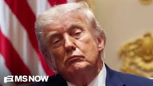 Video post by @msnbc on YouTube