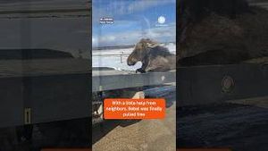 Video post by @accuweather on YouTube