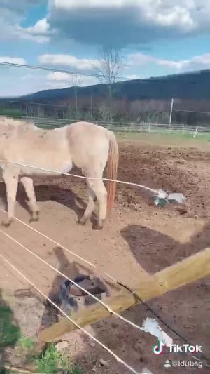 Video post by @1009TheValley on Facebook