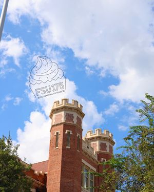 Image post by @floridastateuniversity on Instagram