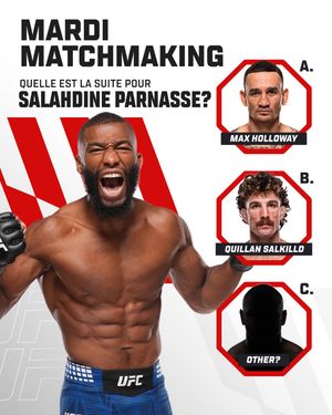Image post by @ufcfra on Instagram