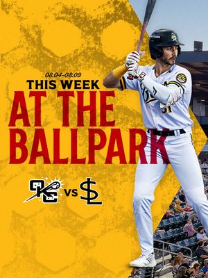 Image post by @saltlakebees on Instagram