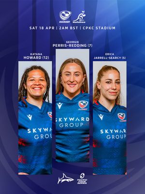 Image post by @salesharkswomen on Instagram