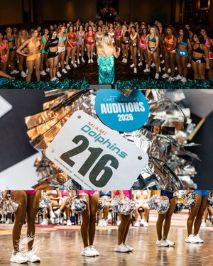 Image post by @dolphinscheer on Instagram