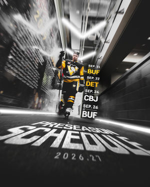 Image post by @penguins on Instagram