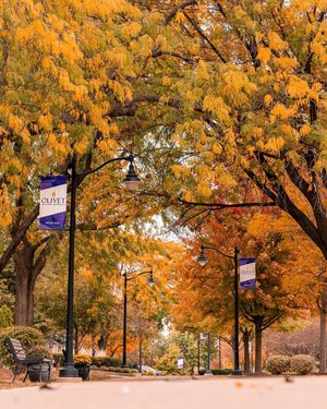 Image post by @olivetnazarene on Instagram