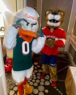 Image post by @um_sebastian on Instagram