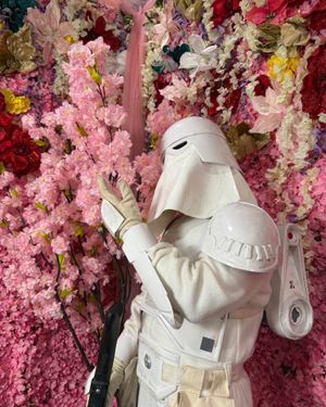 Image post by @official501st on Instagram