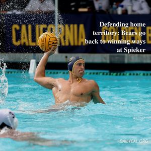 Image post by @dailycalsports on Instagram