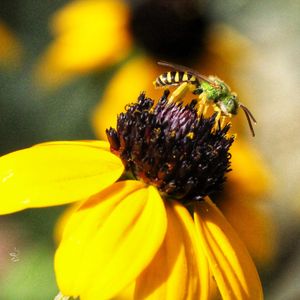 Image post by @butterflypavilion on Instagram