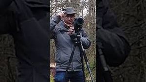 Video post by @cristanboerg on YouTube