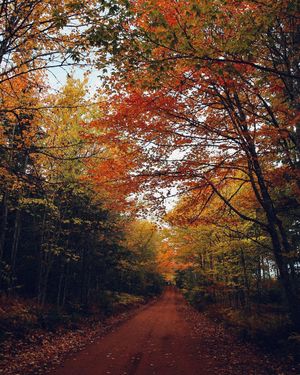 Image post by @_emilyoneal on Instagram