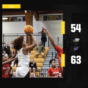 Image post by @gopetrelswbb on Instagram