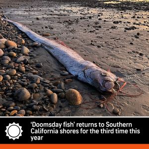 Image post by @accuweather on Instagram