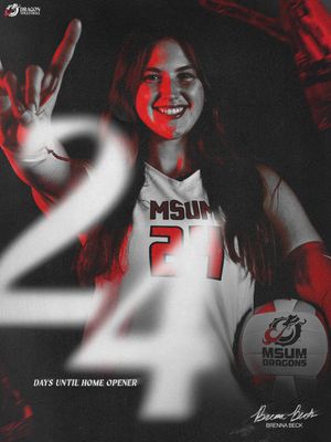 Image post by @msum_volleyball on Instagram