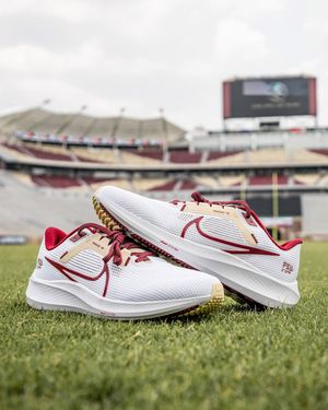 Image post by @seminoles on Instagram